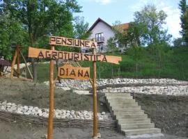 Pensiunea Agroturistica Diana