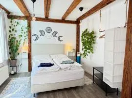 Gemütliches Zimmer, zentral, privat und ruhig, perfekt für Paare oder Geschäftsreisende