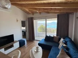 Vitamine Luxury Apartments 2