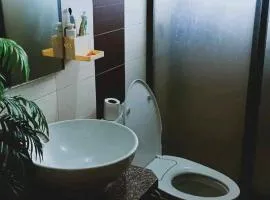 Trip Nest Rentals