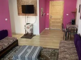 cosy Furnished appartment
