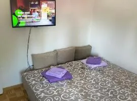 Apartment Seven Banja Vrujci