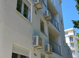 Apartmani Aleksandar Rudinac Čanj，位于安吉的酒店