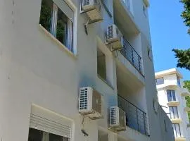 Apartmani Aleksandar Rudinac Čanj