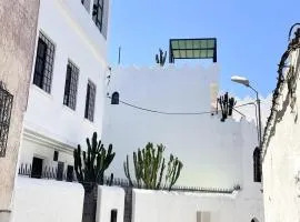 Black Cactus Marshan Medina Tanger