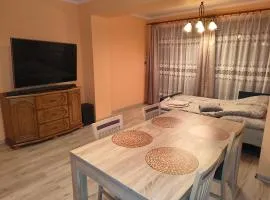 Apartament Krupińskiego