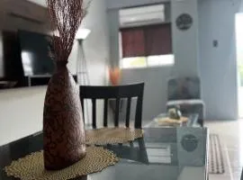 Budget Apartment Near New Kingston