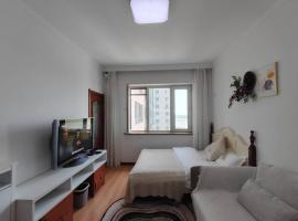 Central Street River View Apartment，位于哈尔滨的公寓