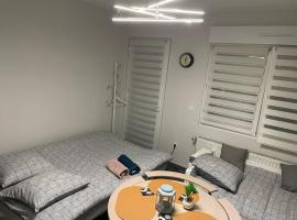 Studio Rénové avec parking et balcon，位于Fegersheim的酒店