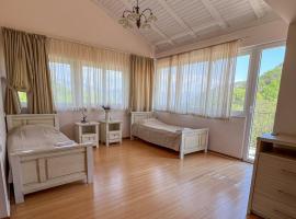 Stone Bridge Guesthouse，位于Gornji Morinj的公寓式酒店