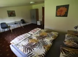 Poilsiavietė - kempingas ''Viktorija''