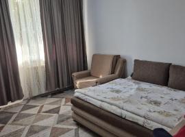 Tulcea Central Apartment，位于图尔恰的公寓