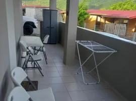 Abricotier à proximité des plages du sud