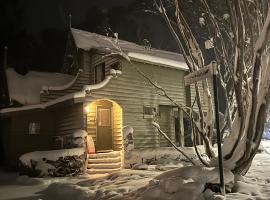 Bindi - Alpine Getaways's Chalet at Tower Rd，位于丁诺高原的酒店