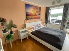 Ferienwohnung in Freudenstadt-Kniebis III