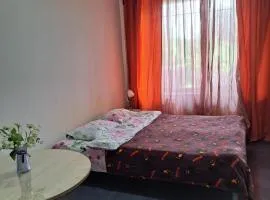 Квартира річка Стир