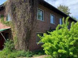 Omakotitalo veistämöllä meren rannassa