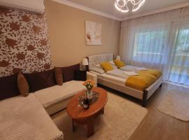 Jókai Apartman Szarvas，位于索尔沃什的酒店