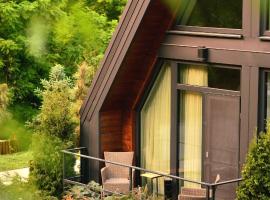 Chalet by Provence Suceava，位于苏恰瓦Suceava International Airport - SCV附近的酒店