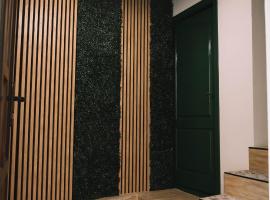 Casa Alecsandri -Ultra Central，位于奥拉迪亚的带停车场的酒店