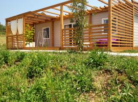 VioVillas Agriturismo Glamping Jacuzzi Arezzo，位于阿雷佐的酒店