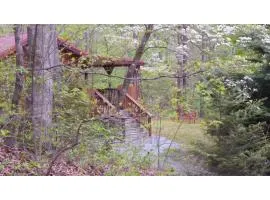 Cabin in the Woods-Peaceful 1BR 20-Acre Rural Retreat-HotTub&WiFi near Asheville