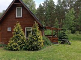 Domki Sosnowa dolina We Wielu，位于维勒的酒店