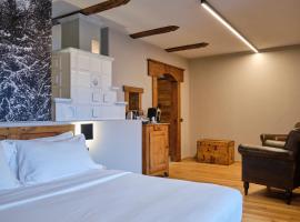 Maison Bionaz Luxury Ski & Sport，位于奥斯塔的酒店