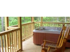Cabin in the Treetops-Peaceful 1BR 20-Acre Rural Retreat-HotTub&WiFi near Asheville，位于亨德森维尔的酒店