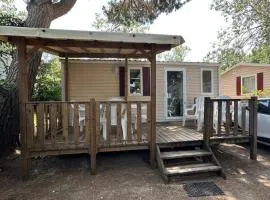 Mobil Home 2 chambres Sous les pins