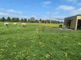 Natuurhuisje 't Hoogbos - Weidezicht