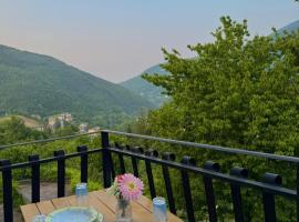 Appartamento a Pieve，位于皮耶韦佩拉戈的酒店