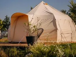 Glamping Wake Surf Náklo