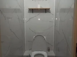 Метро центр