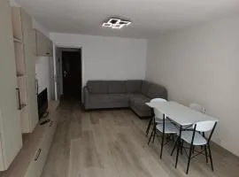 Cozy Bucovina Apartment