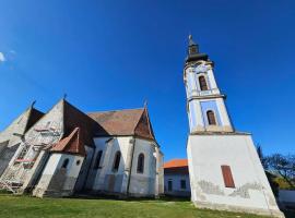 Museum Apartment in the City Center，位于拉茨凯韦的酒店