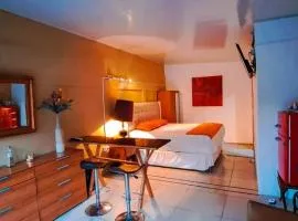 Suite 607 Ciudad jardín San Miguel A