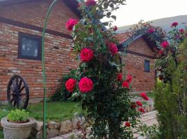 Bungalovi Narandža Ramsko jezero，位于Varvara的酒店