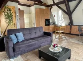 Beautiful Top Floor Apartment with Lake View