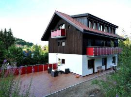 Schlesierhaus，位于Dachsberg im Schwarzwald的住宿