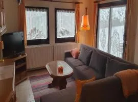 Ferienhaus mit Terrasse im Skigebiet, cleaning included