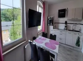 Lakeside Comfort with Garden, cleaning included