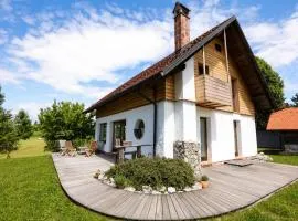 Unique Cottage House With Panoramic View On Ravnik
