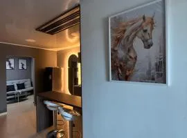 hermoso apt en pereira