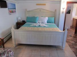 绿海豚汽车旅馆，位于旧奥查德比奇的酒店