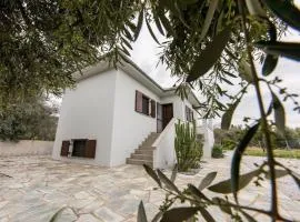 The Olive Home