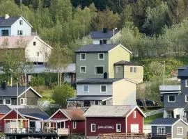 Comfortable house in Gryllefjord