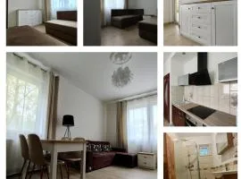 Apartament Ala