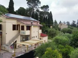 LOCANDA OLIVI affitta camere