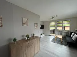 3-Raum Ferienwohnung zentral gelegen, möbliert